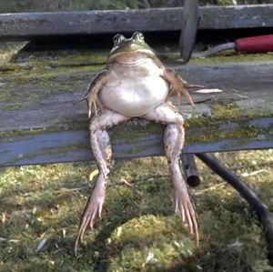 Meet your Posher, Sanaa